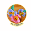 Flor Astromélia - Arquivos para Impressão e Recorte com Pinturas Digitais em PDF e Silhouette Studio