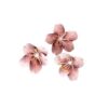Flor de cerejeira