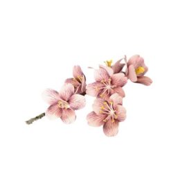 Flor de Cerejeira – Arquivos para Impressão e Recorte com...