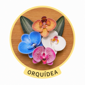 Flor Orquídea – Arquivos para Impressão e Recorte com Pinturas...