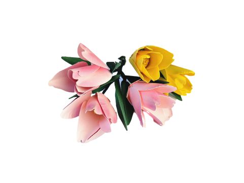 Flor Tulipa