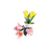 Flor Tulipa