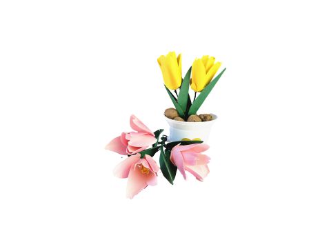 Flor Tulipa