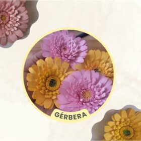 Flor Gérbera – Arquivos para Impressão e Recorte com Pinturas...