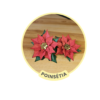 Poinsétia (flor de Natal) - Arquivos para Impressão e Recorte com Pinturas Digitais em PDF e Silhouette Studio