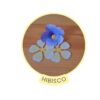 Flor Hibisco - Arquivos para Impressão e Recorte com Pinturas Digitais em PDF ,SVG e Silhouette Studio