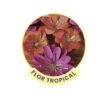 Flor Tropical - Arquivos para  Recorte em PDF ,SVG e Silhouette Studio
