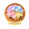 Flor Hortênsia- Arquivos para Impressão e Recorte com Pinturas Digitais em PDF ,e Silhouette Studio
